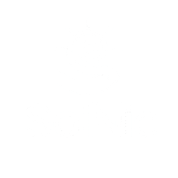 SolNic